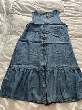 LOFT Outlet Light Blue Denim Dress with Button Front